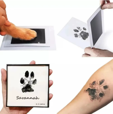 Inkless Paw Print Keepsake Kit